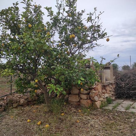 Апартаменты Trullo Contrada Specchi Ракале Экстерьер фото